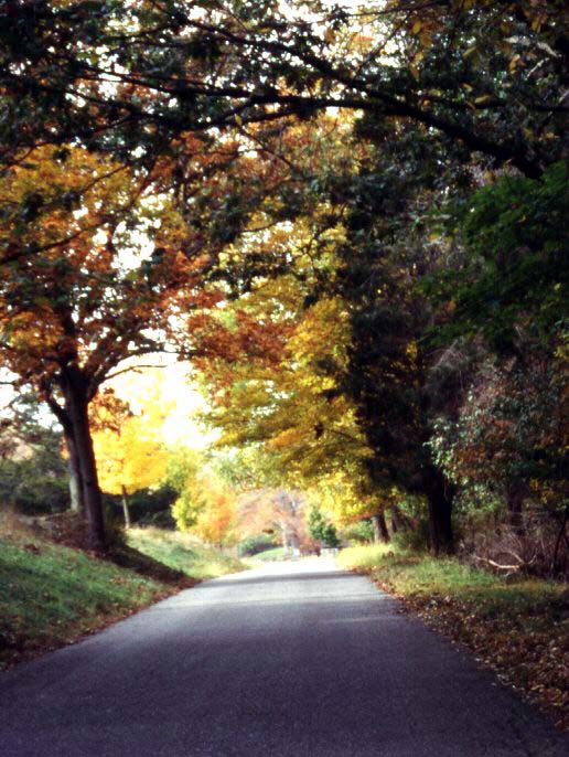 Pound ridge